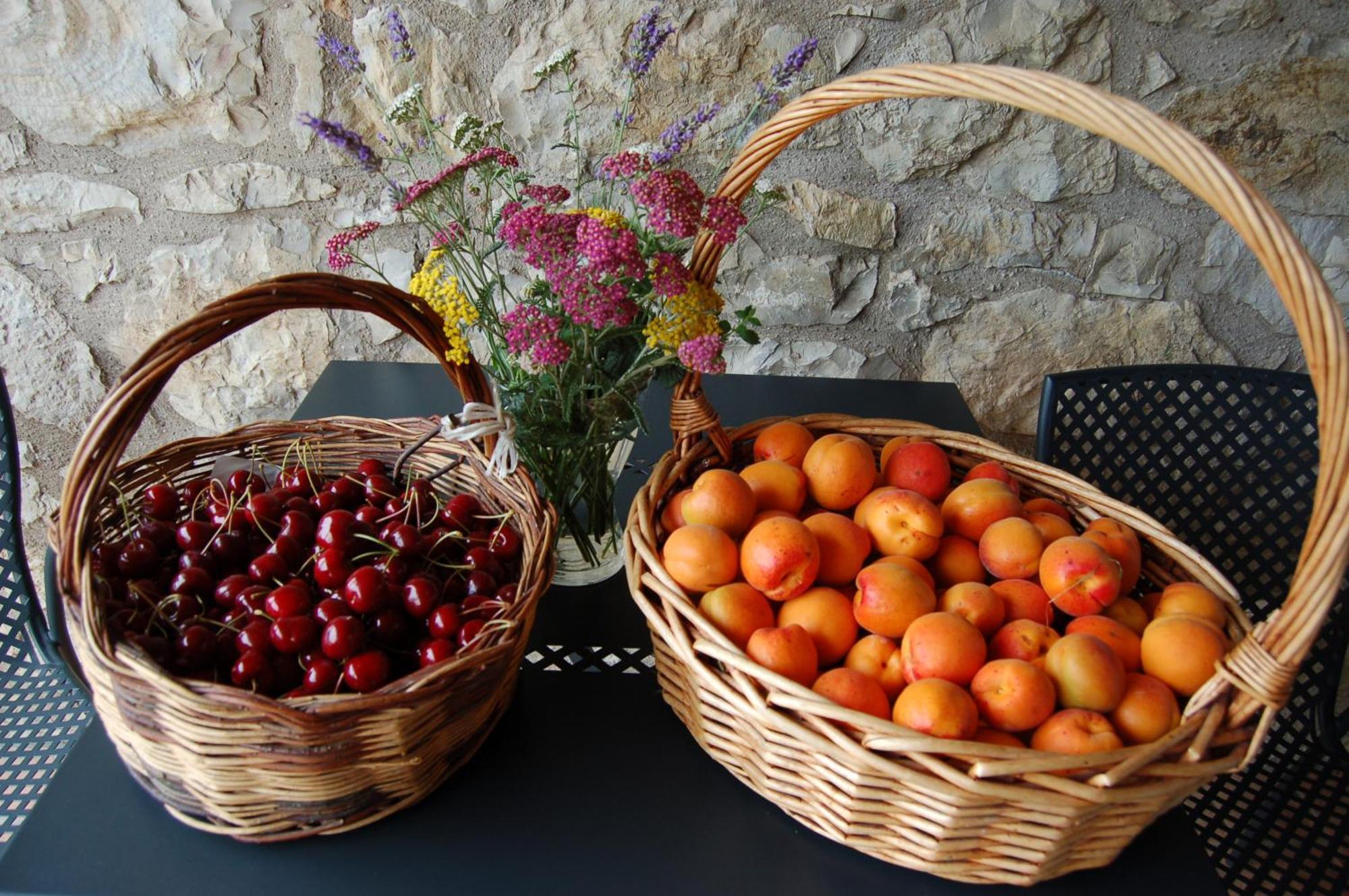 Agriturismo Podere Prasiano Marano sul Panaro Ngoại thất bức ảnh