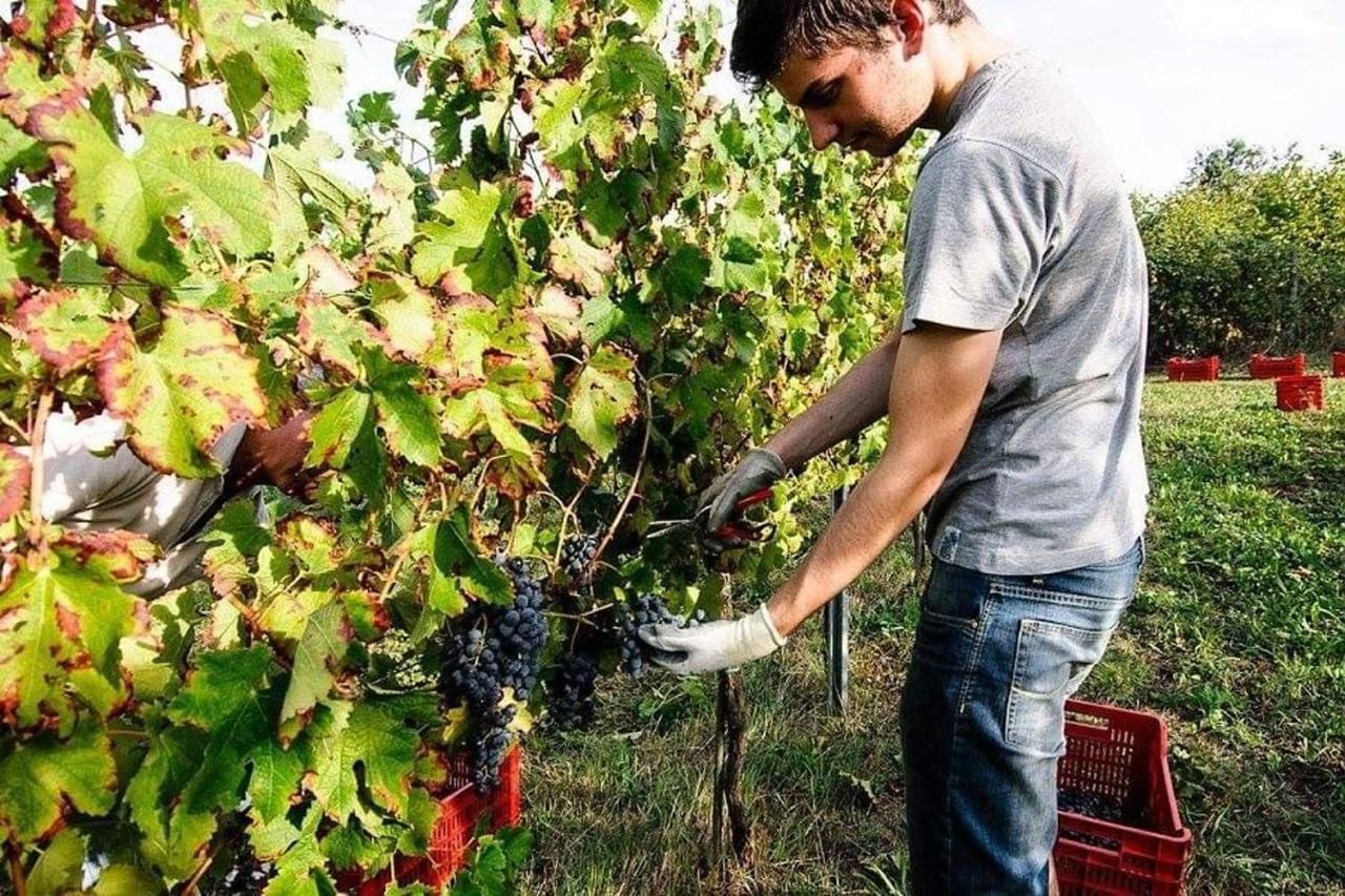 Agriturismo Podere Prasiano Marano sul Panaro Ngoại thất bức ảnh